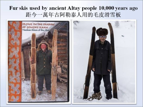 Altay Fur Skis